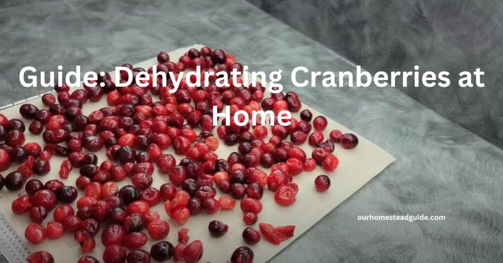 Dehydrating Cranberries