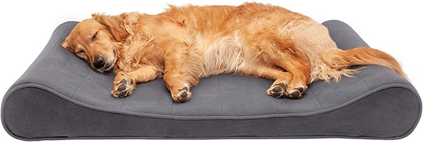 Photo of a dog laying in a memory foam bed