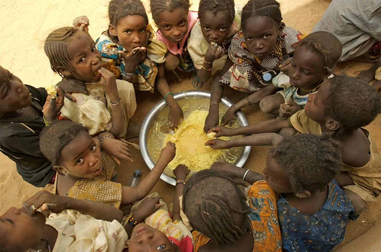 West Africa Faces Worst Hunger Crisis In Decade Amid Aid Cuts - HumAngle