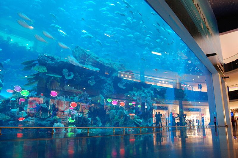 C:\Users\A\Desktop\office work\guest post articles\Aug guest post\10 Kids Friendly Places to Visit in Dubai - Citytourindubai - keiraslife - done\images\aquarium-underwater-zoo.jpg