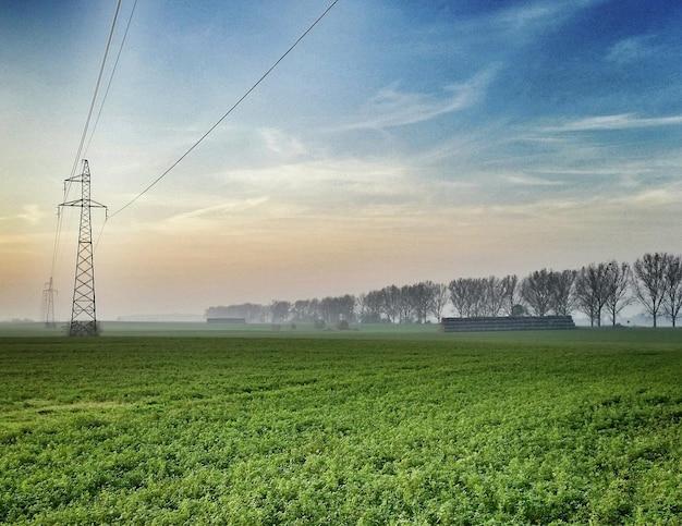 Sfaturi pentru afacerea din domeniul energetic