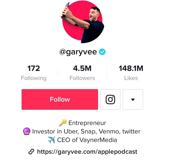 TikTok-bio-ideas-for-entrepreneurs