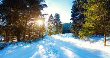 Відпочинок у Трускавці взимку: чим зайнятися і скільки коштує