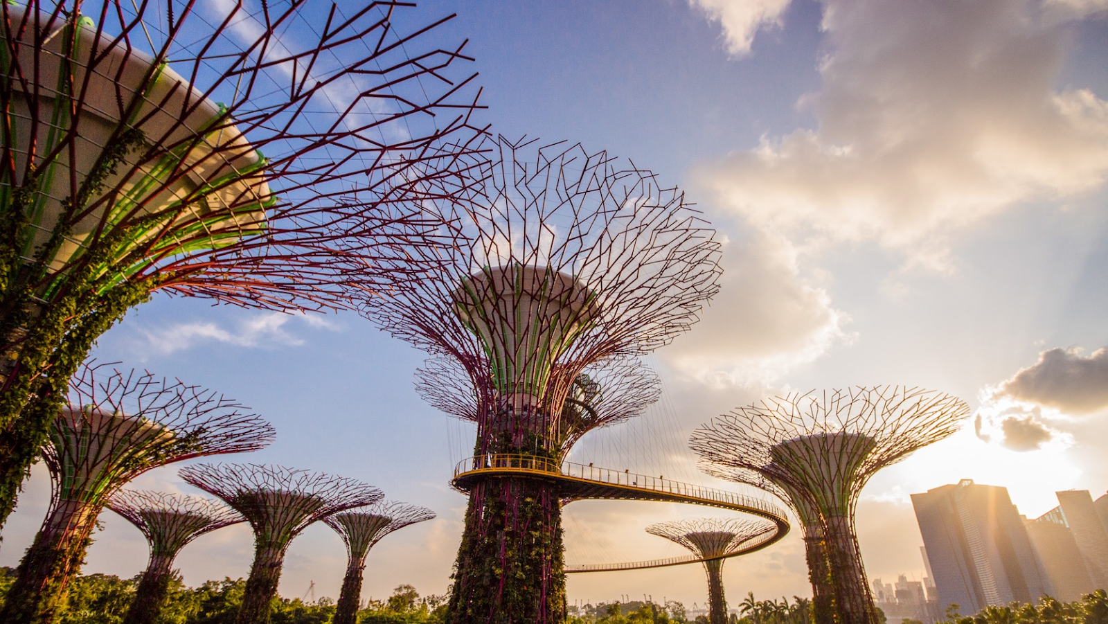 Gardens By The Bay được thiết kế một cách độc đáo và mới lạ