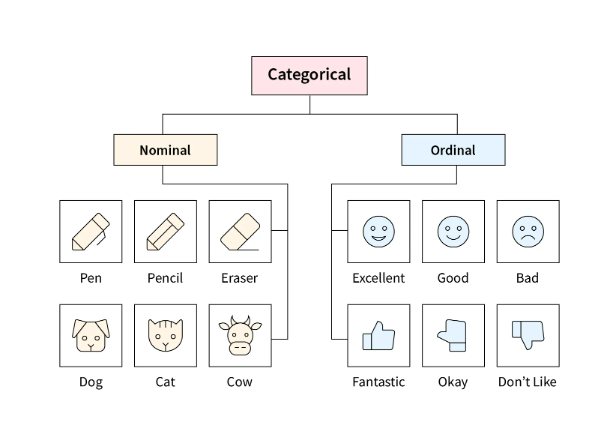 Understanding Categorical Encoding Techniques: Ordinal, One-Hot, and Label  Encoding | by Tahera Firdose | Medium