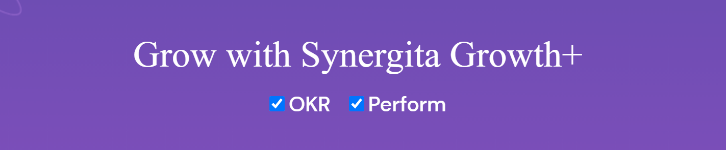 image showing synergita as one of the best performance management tools 