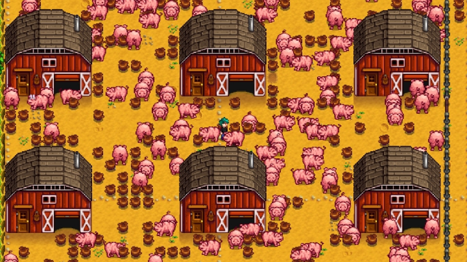 Pig barns Stardew Valley