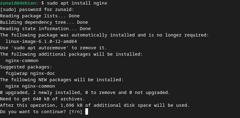 install Nginx on Debian