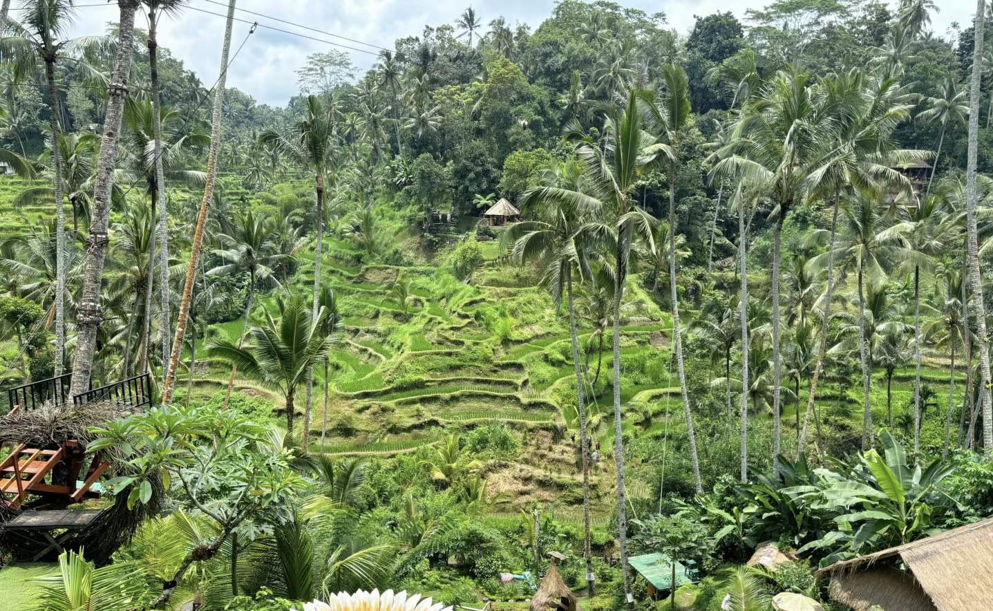 #印尼 🇮🇩峇里島客製化mini團 ｜印尼傳統庭院+網美鞦韆