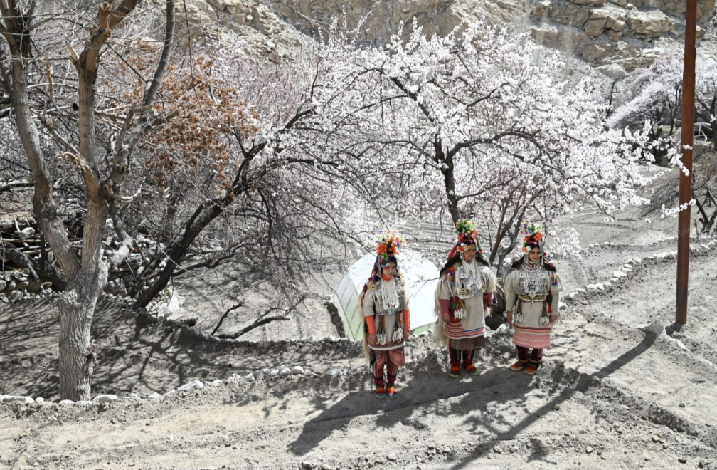 Apricot Blossom Festival: Celebrating Culture and Nature Across Kargil District