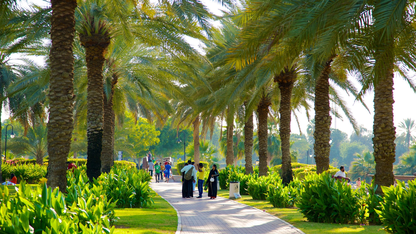 Парк Al Safa в Дубае