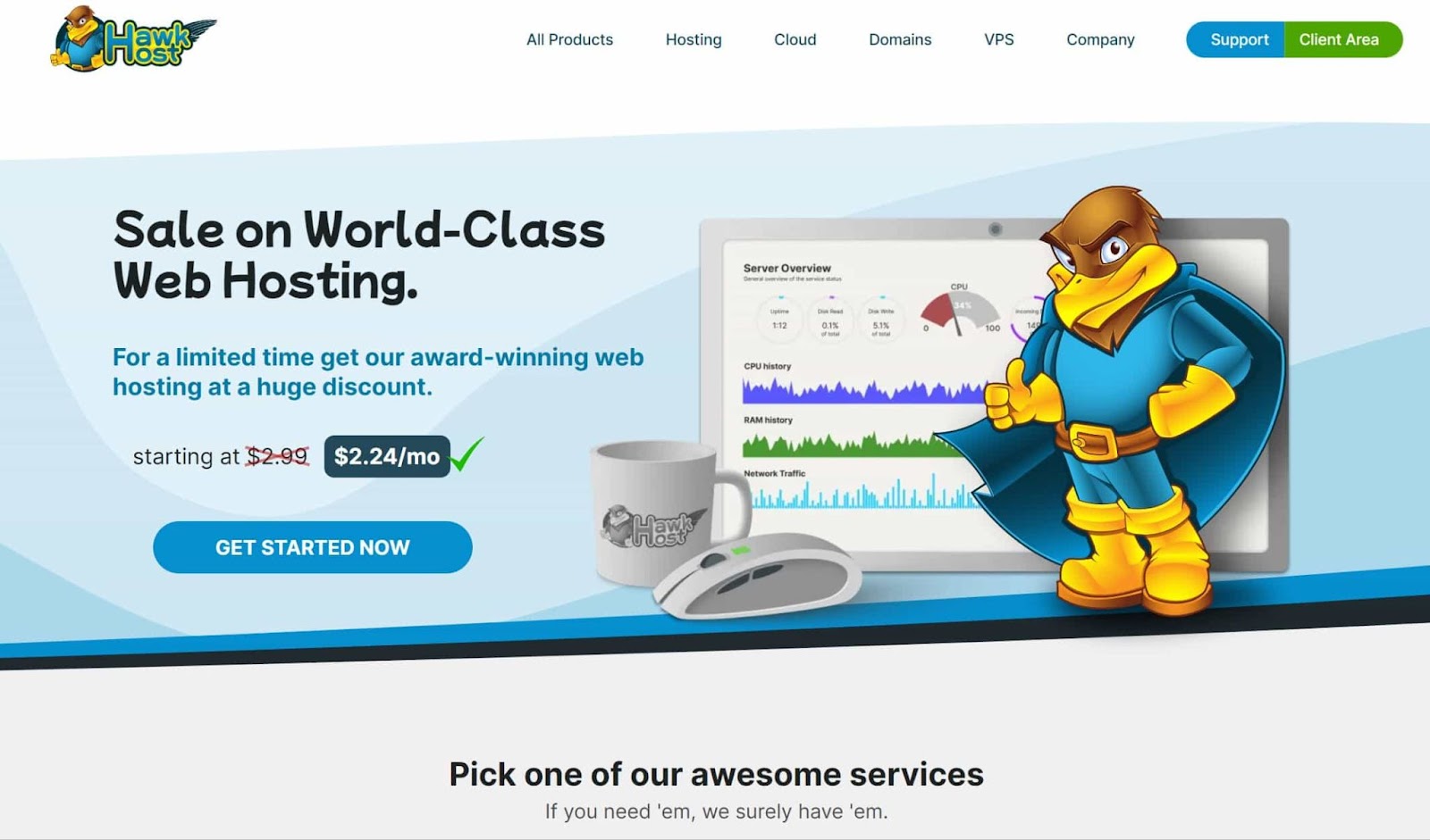 Screenshot of Hawkhost website