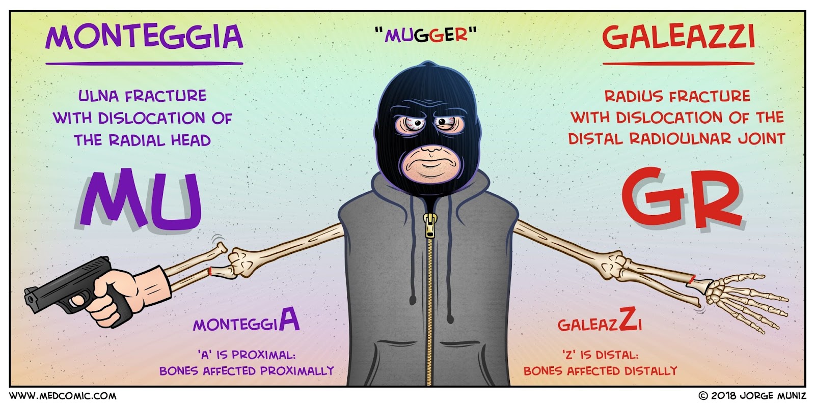 Monteggia-vs-Galeazzi-Fractures.jpg