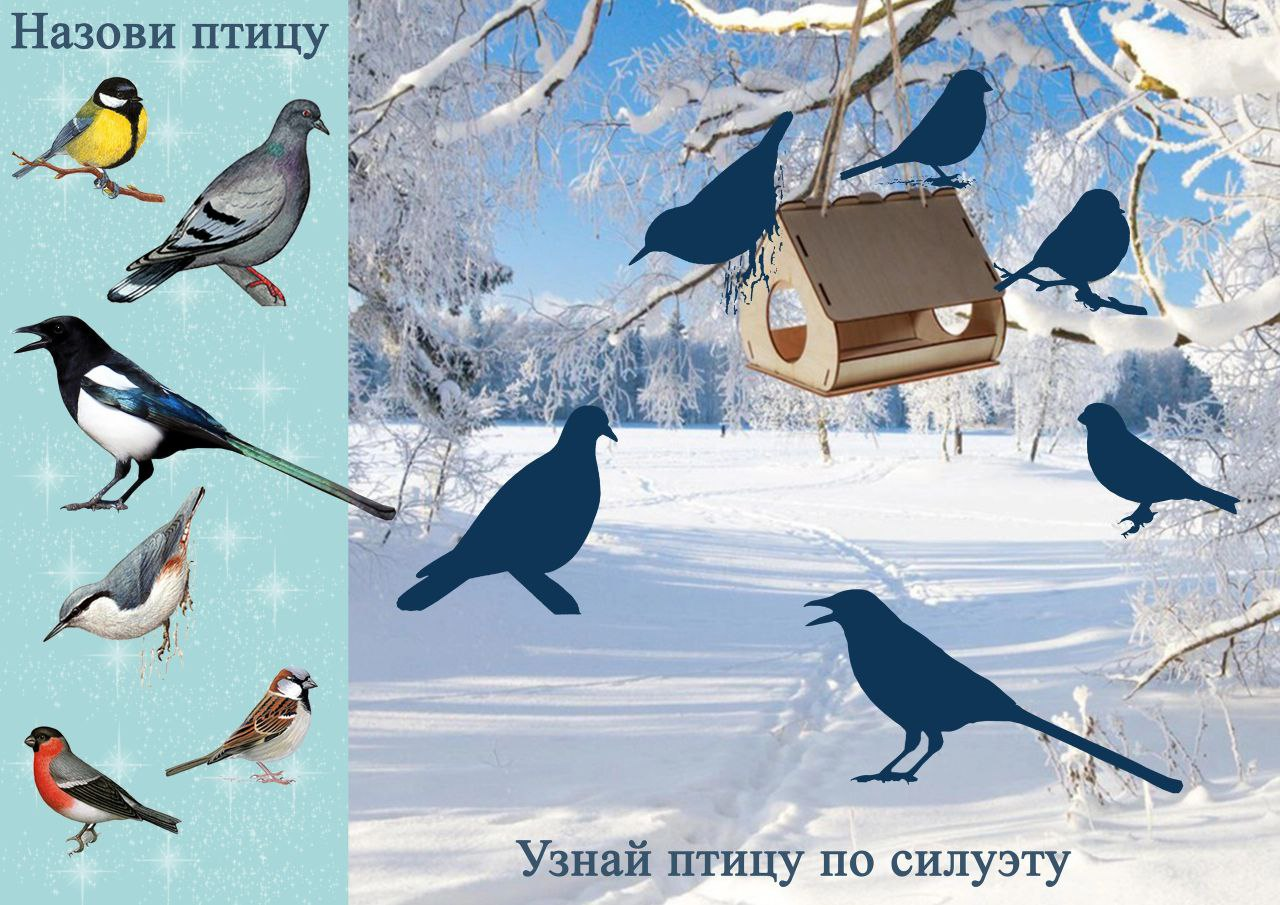 Изображение выглядит как зима, певчие, птица, на открытом воздухе

Автоматически созданное описание