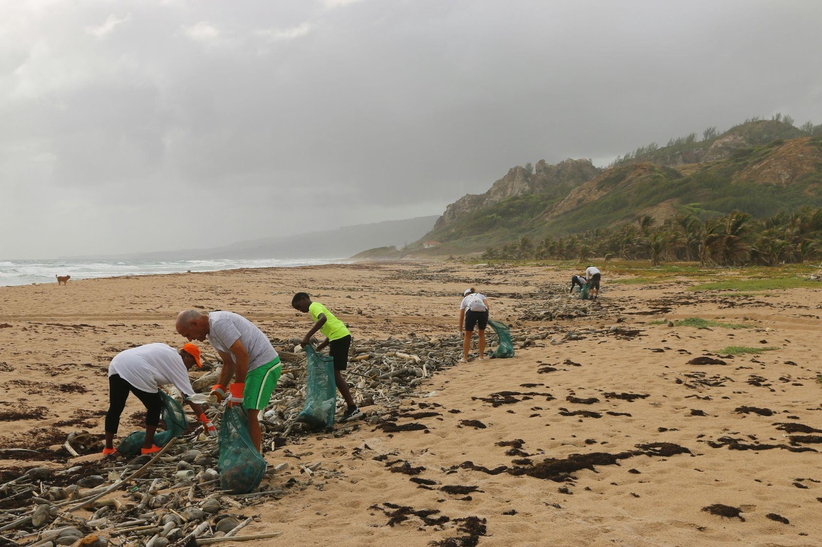 Volunteering sessions, like beach cleans, can help teams feel a sense of achievement from giving back, and count towards your company CSR objectives.