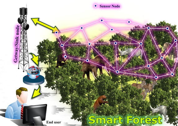https://upload.wikimedia.org/wikipedia/commons/c/c8/Our-proposed-WSN-architecture-for-smart-forest.jpg