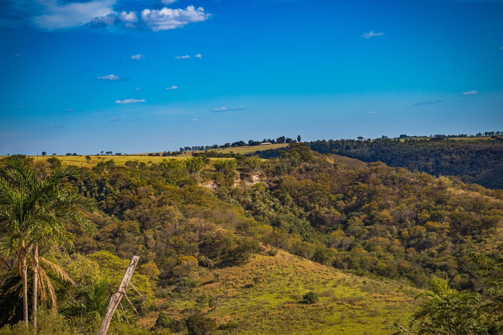 Paisagem serrana da zona rural de Marília, SP. Os montes cobertos por vegetação nativa verde se estendem até o horizonte. Ao fundo, o céu aparece azul e sem nuvens.