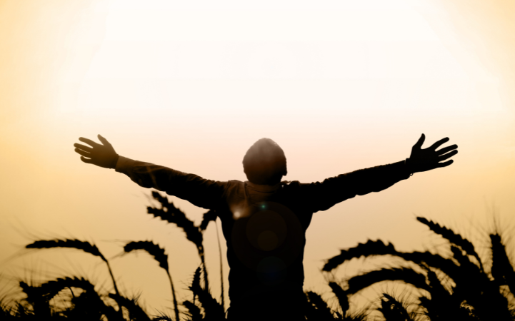Freedom