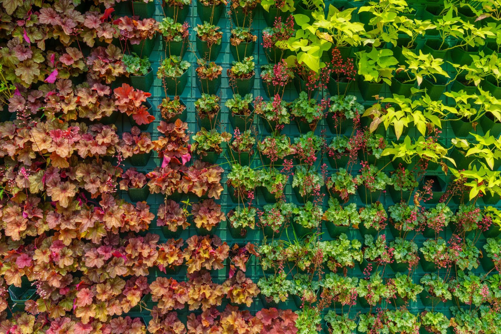 Vertical Garden