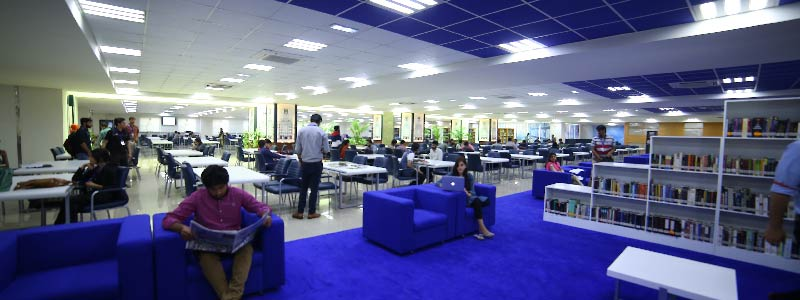 Central University Of Punjab Expert's Review and Verdict