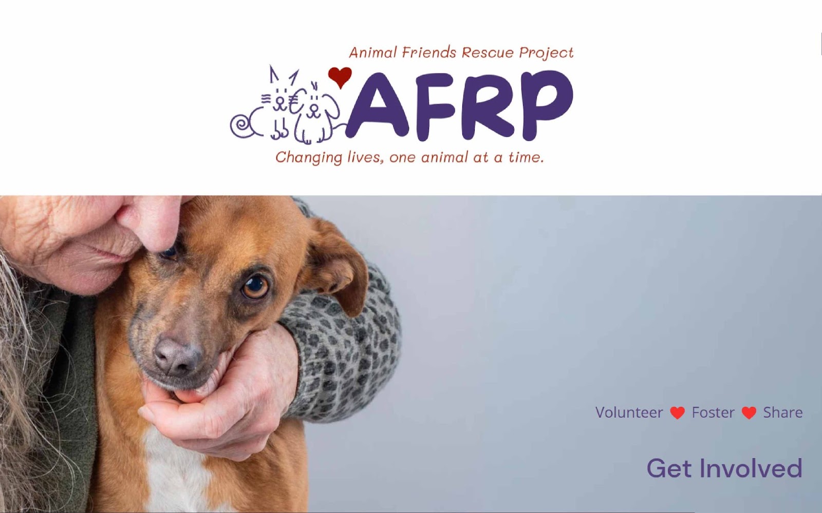 Animal Friends Rescue Project