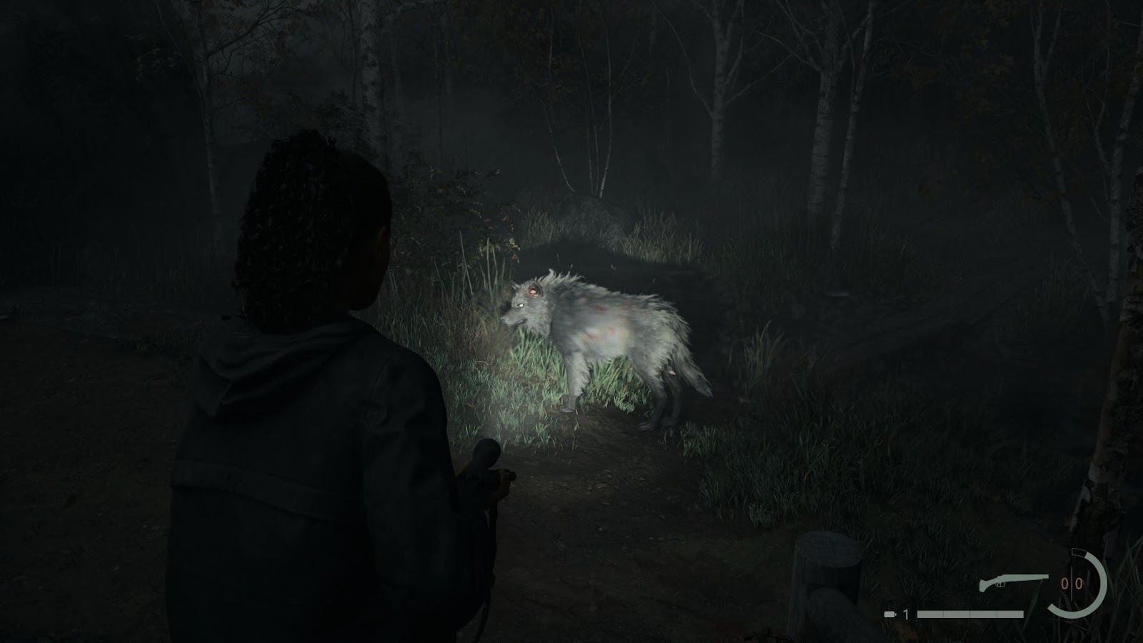 An in game screenshot of a Taken wolf from Alan Wake 2. 