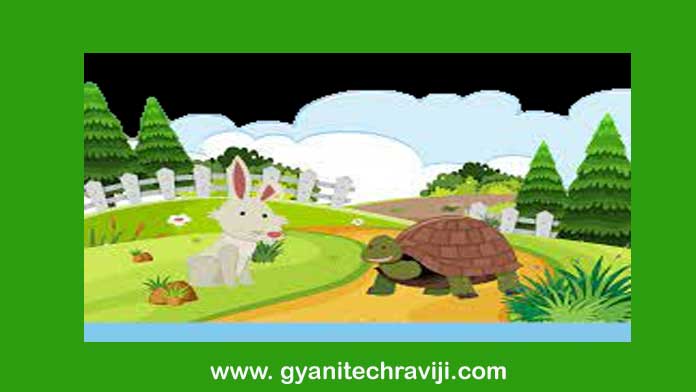 tortoise & rabbit
