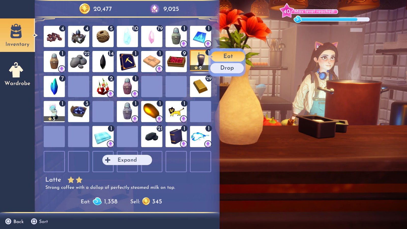 An in game screenshot of the inventory section from Disney Dreamlight Valley. 