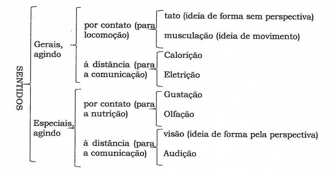 TabelaDescrição gerada automaticamente com confiança média