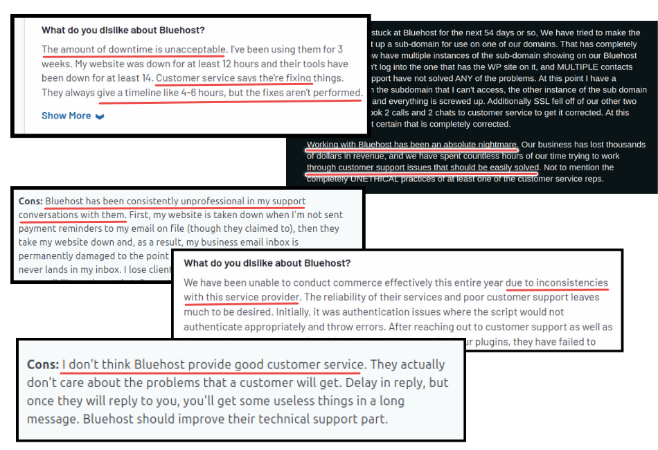 Customers reviews about Bluehost---poor customer support and site performance 