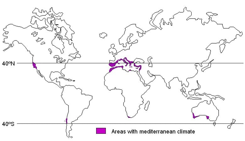 MEDITERRANEAN CLIMATE