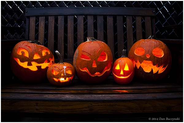 Five Jack-o-Lanterns on a bench for Halloween celebrations. 