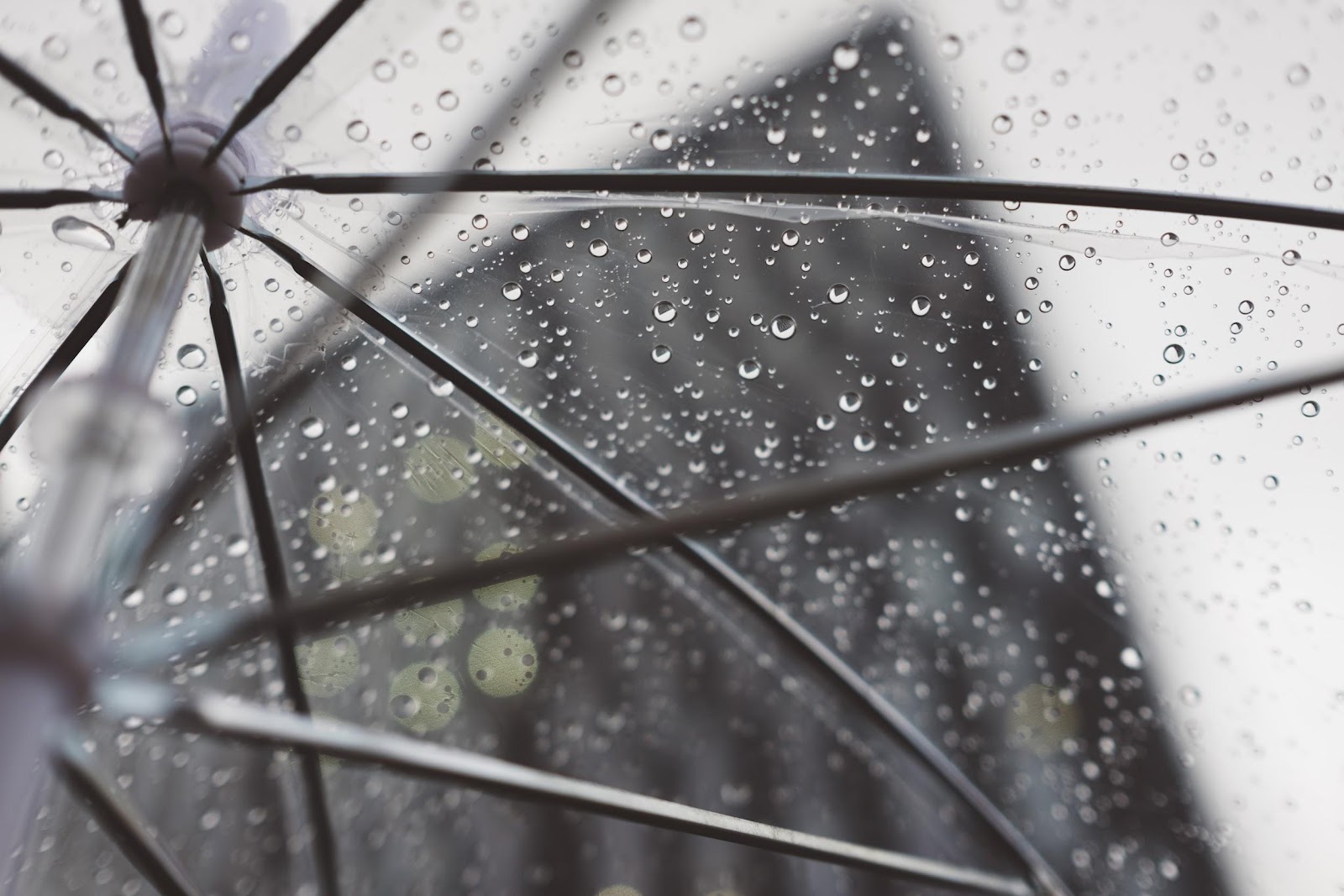 Rain droplets on a clear umbrella