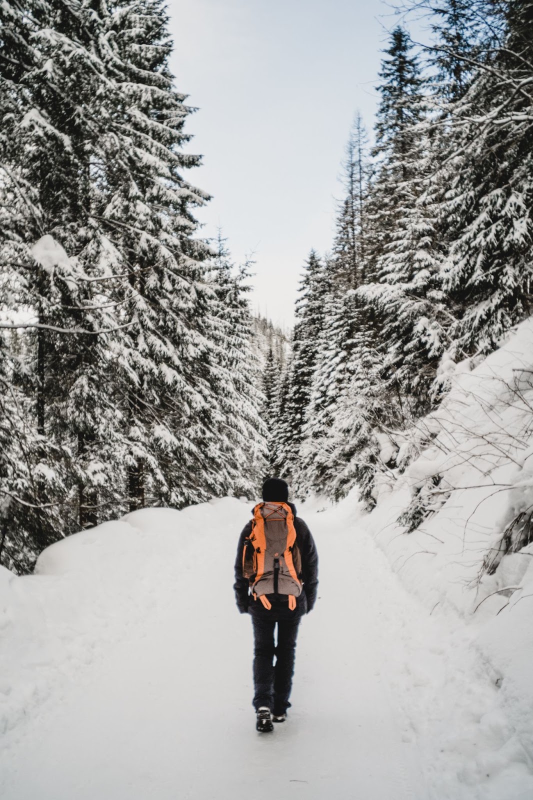 A calming winter hike through the snow and forest