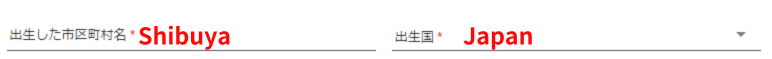 出生国と出生市区町村の記入欄
