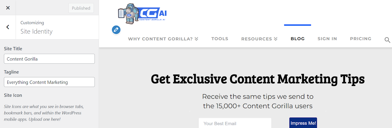 Image Showing Site Title for Content Gorilla's WordPress Website