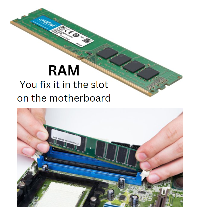 Random Access Memory (RAM)