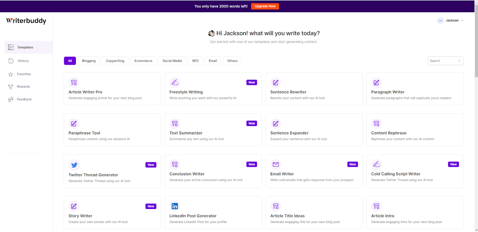 Step 2: How to use WriterBuddy