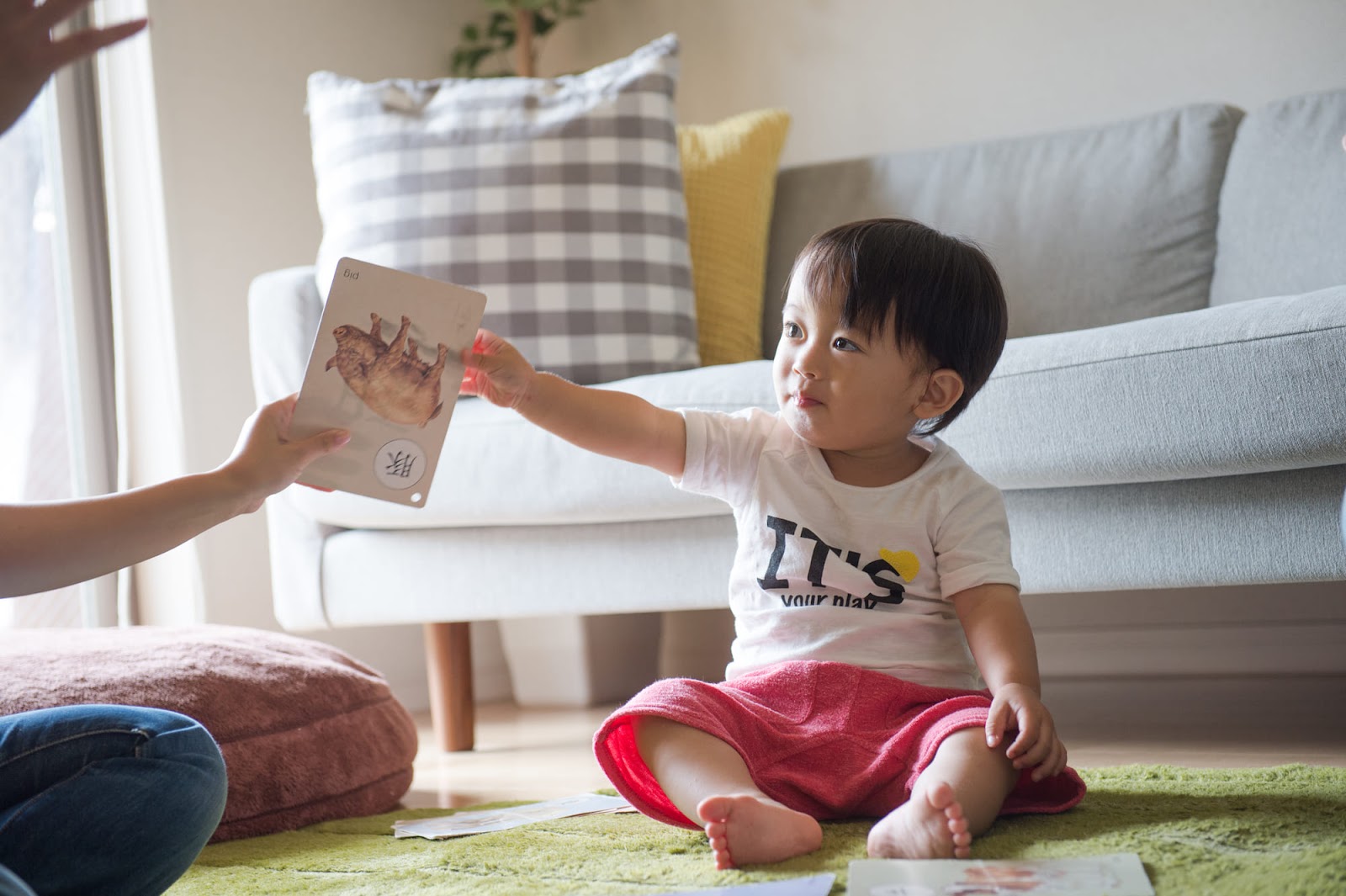 かるた遊びが子どもに与える効果とは？メリットを紹介