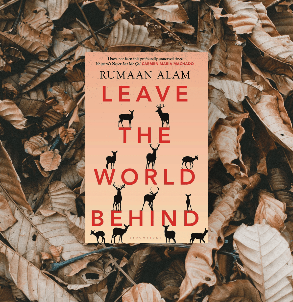 Leave the World Behind' by Rumaan Alam | I Can Only Blame My Shelf