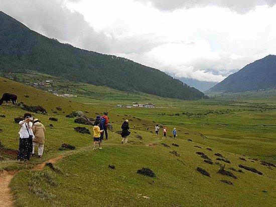 Tripadvisor - Our tourists taking walk through Gangtey Nature Trail - صورة  ‪Access Bhutan Tours & Treks‬، ‪Paro‬