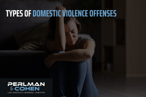 Types of domestic violence offenses