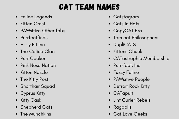 Cat Team Names