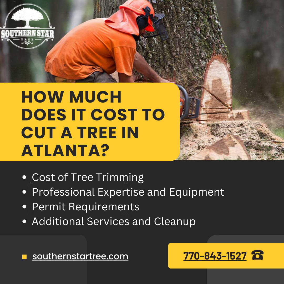 Factors Affecting Tree Removal Cost