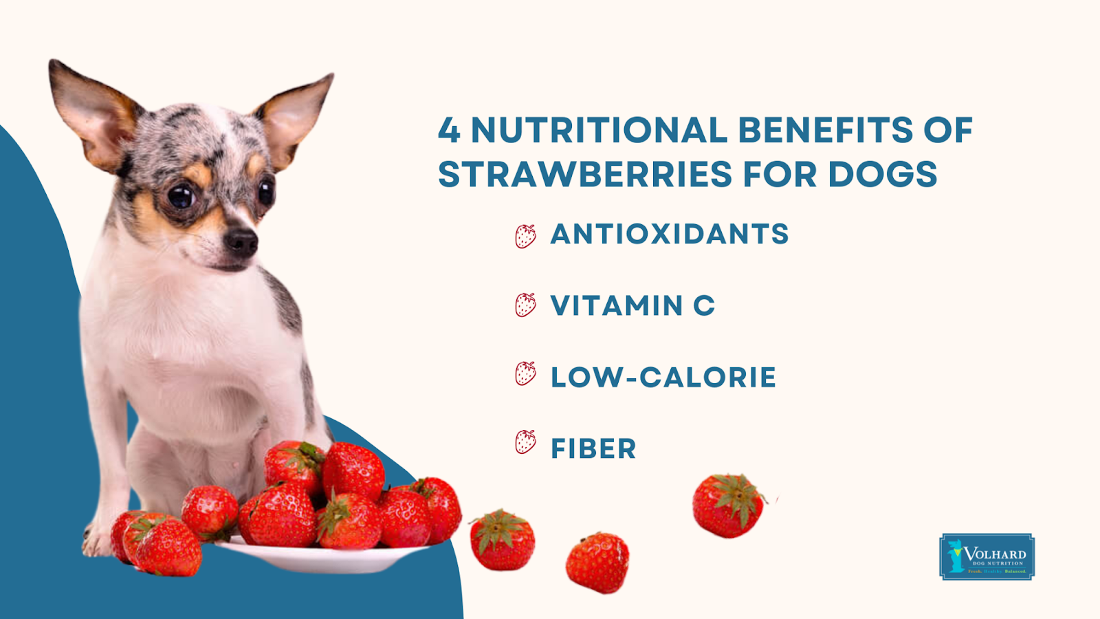 Nutritional benefits of strawberries for dogs