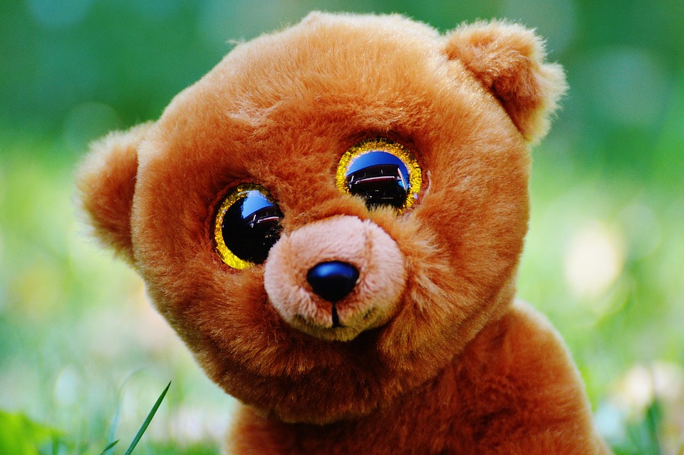 http://maxpixel.freegreatpicture.com/static/photo/1x/Stuffed-Animal-Soft-Toy-Teddy-Bear-Glitter-Eyes-861055.jpg