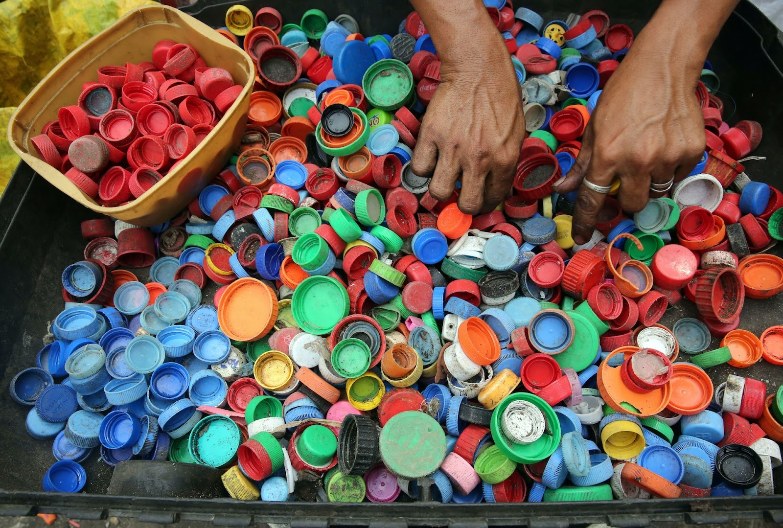 Person sorting bottle caps