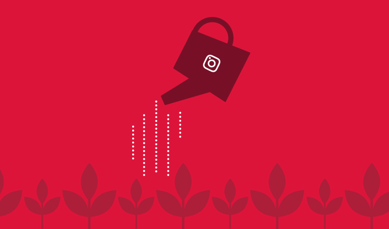 Organic Instagram Growth Strategies to Build Your Brand | Sprout Social