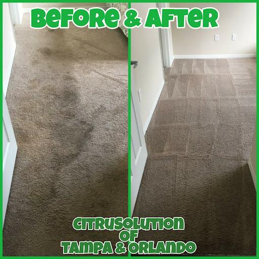 Swift Dry Carpet Cleaning in Longwood and Orlando Florida, Swift Dry  Carpet Cleaning, Orlando