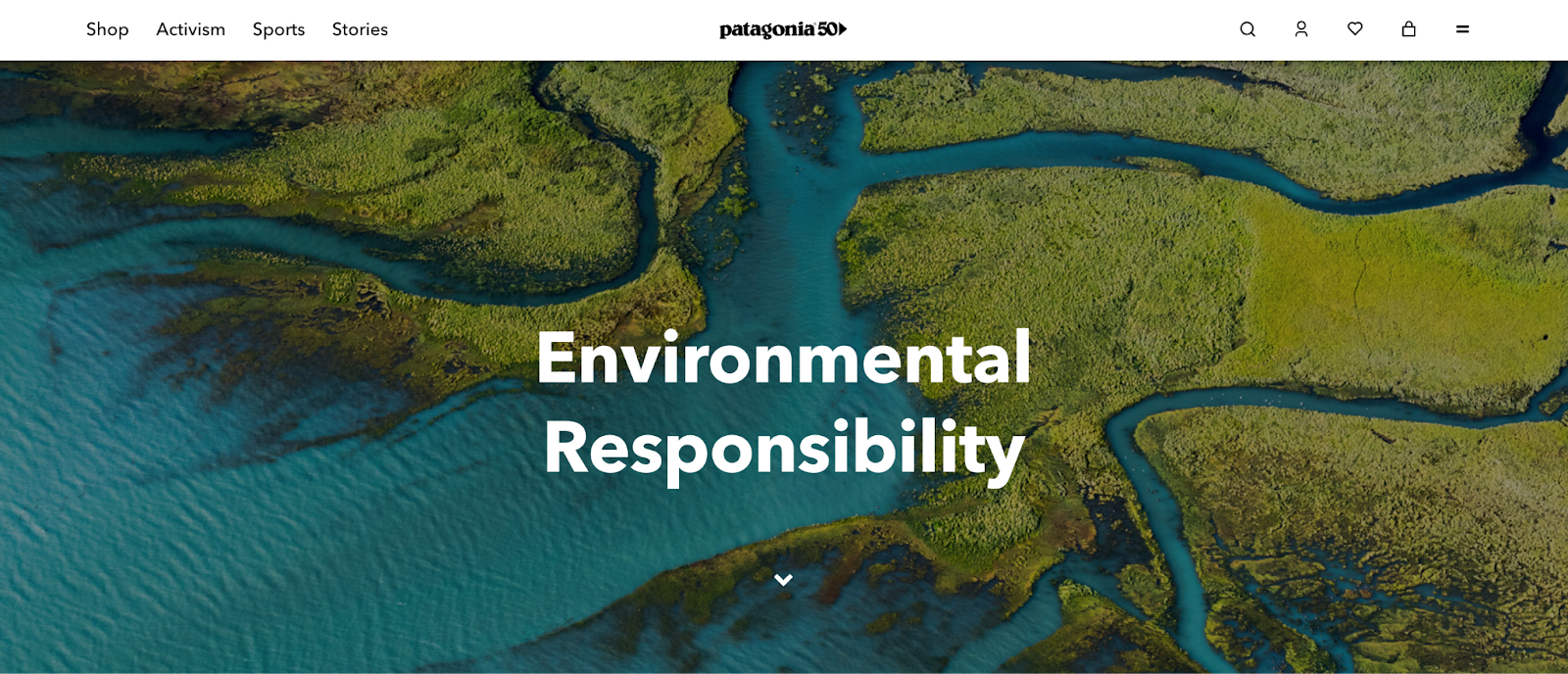 Screenshot from the environmental responsibility page of Patagonia's website